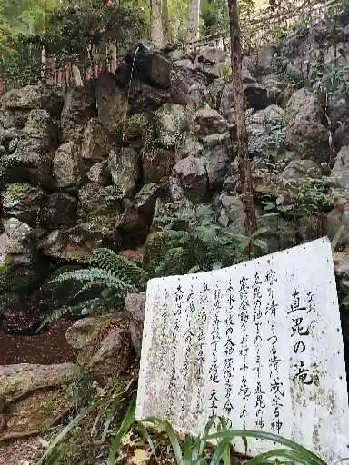 大矢田神社の自然
