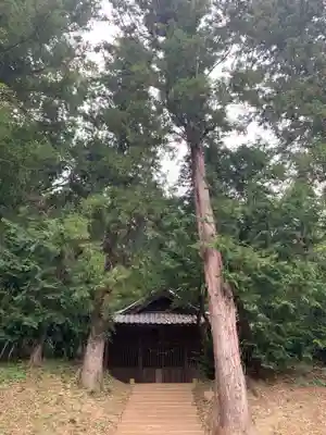 熊野神社の自然