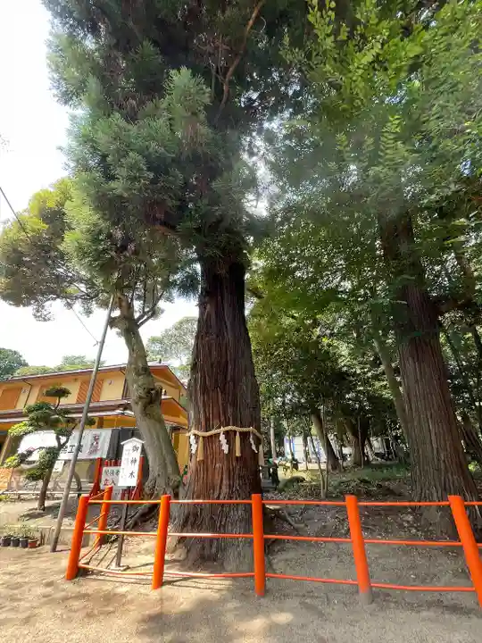 息栖神社(茨城県)