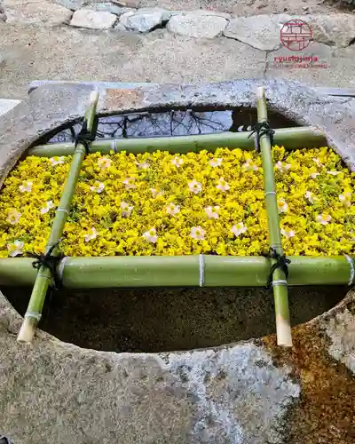 立志神社(滋賀県)