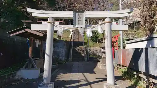 杉山神社の鳥居