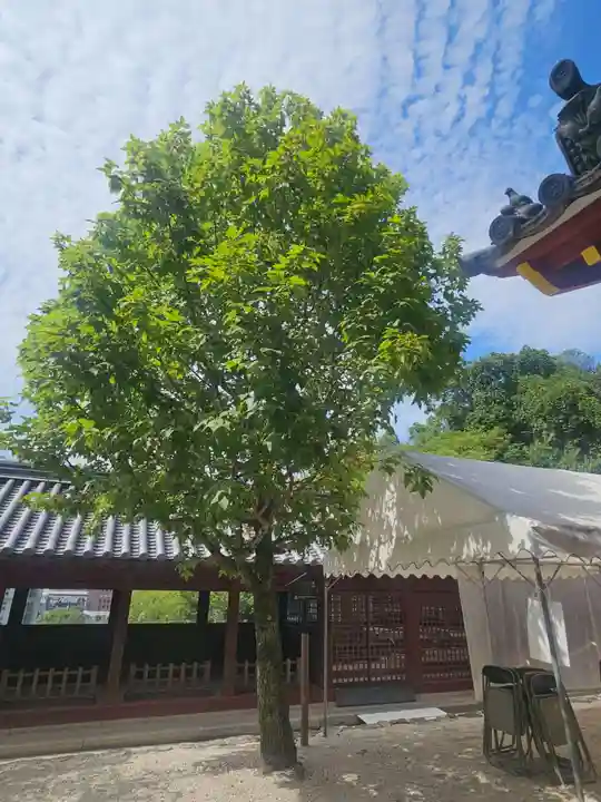 広島東照宮(広島県)