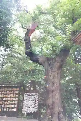天照皇大神(神奈川県)