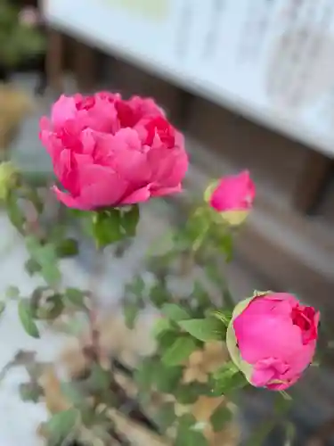 筥崎宮(福岡県)