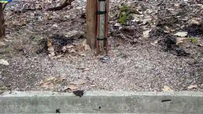 旭川天満宮のその他建物