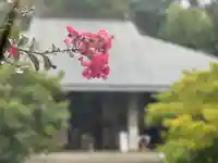 伊勢の国 四天王寺の自然