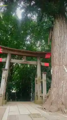 下総国三山　二宮神社の鳥居