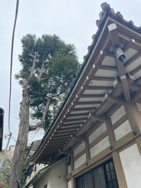 東光寺別院桜ヶ池不動院の{uncategorized: "未分類", other: "その他", undefined: "問題あり", building: "その他建物", grave: "お墓", sacred_gate: "鳥居", guardian: "狛犬", statue: "像", buddha: "仏像", history: "歴史", nature: "自然", garden: "庭園", animal: "動物", pagoda: "塔", temizu: "手水舎", mountain_gate: "山門・神門", sanctuary: "本殿・本堂", subordinate: "末社・摂社", art: "芸術", scenery: "景色", jizo: "地蔵", ema: "絵馬", goshuin: "御朱印", omikuji: "おみくじ", items: "授与品その他", amulet: "お守り", goshuincho: "御朱印帳", eats: "食事", festival: "お祭り", votive_dance: "神楽", shichigosan: "七五三参", wedding: "結婚式", experience: "体験その他", initially: "初詣", around: "周辺", anti_infection: "感染症対策"}