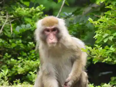 御嶽神社(王滝口）里宮(長野県)