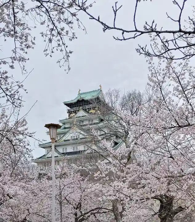 豊國神社の周辺
