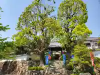 神咒寺のその他建物