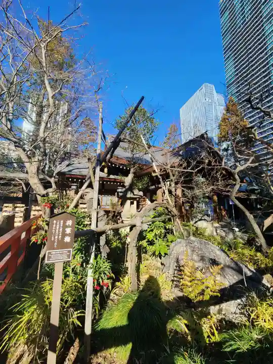 愛宕神社(東京都)