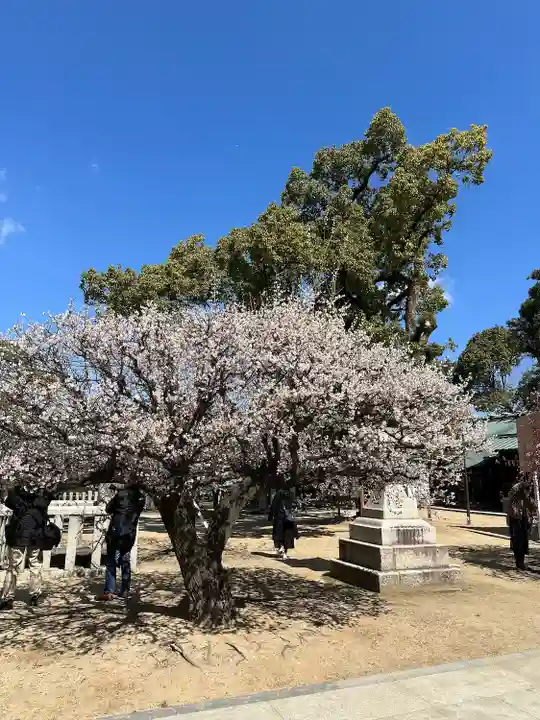屯倉神社(大阪府)