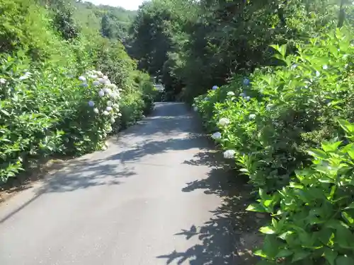 少林寺(埼玉県)