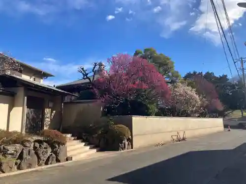 観音蜜寺(神奈川県)