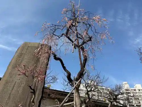 湯島天満宮の{uncategorized: "未分類", other: "その他", undefined: "問題あり", building: "その他建物", grave: "お墓", sacred_gate: "鳥居", guardian: "狛犬", statue: "像", buddha: "仏像", history: "歴史", nature: "自然", garden: "庭園", animal: "動物", pagoda: "塔", temizu: "手水舎", mountain_gate: "山門・神門", sanctuary: "本殿・本堂", subordinate: "末社・摂社", art: "芸術", scenery: "景色", jizo: "地蔵", ema: "絵馬", goshuin: "御朱印", omikuji: "おみくじ", items: "授与品その他", amulet: "お守り", goshuincho: "御朱印帳", eats: "食事", festival: "お祭り", votive_dance: "神楽", shichigosan: "七五三参", wedding: "結婚式", experience: "体験その他", initially: "初詣", around: "周辺", anti_infection: "感染症対策"}