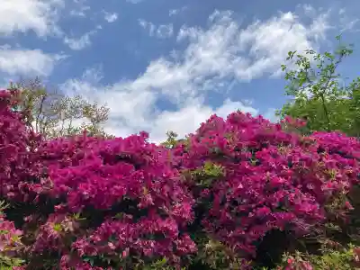 船宿寺(奈良県)