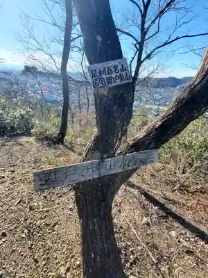 雷電神社 奥の院（助戸東山町）(栃木県)