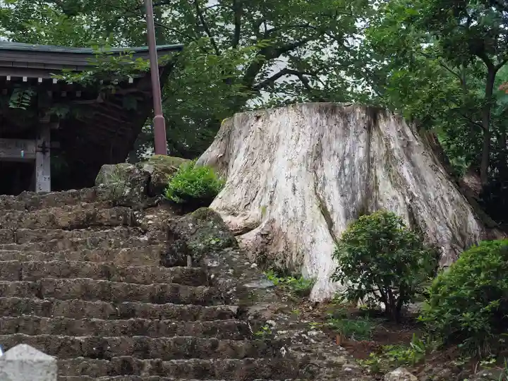 松尾寺(京都府)