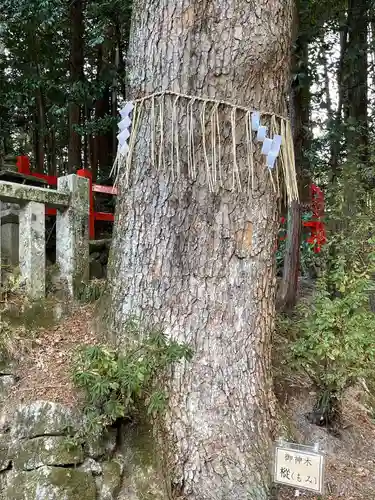 八大神社の自然