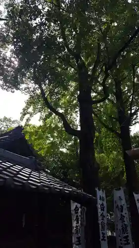 若宮神明社の自然