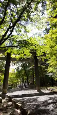 大原野神社(京都府)