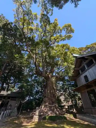 川津来宮神社(静岡県)