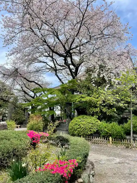 養福寺(東京都)