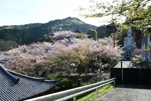南法華寺（壷阪寺）(奈良県)