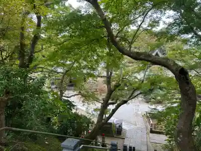 観福寺(千葉県)