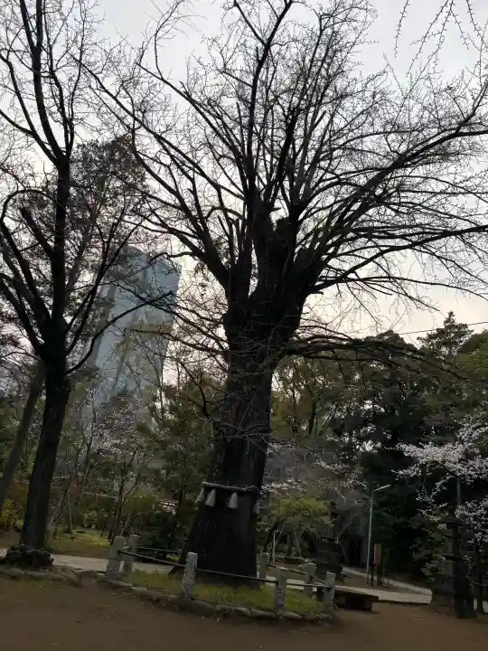 赤坂氷川神社の{uncategorized: "未分類", other: "その他", undefined: "問題あり", building: "その他建物", grave: "お墓", sacred_gate: "鳥居", guardian: "狛犬", statue: "像", buddha: "仏像", history: "歴史", nature: "自然", garden: "庭園", animal: "動物", pagoda: "塔", temizu: "手水舎", mountain_gate: "山門・神門", sanctuary: "本殿・本堂", subordinate: "末社・摂社", art: "芸術", scenery: "景色", jizo: "地蔵", ema: "絵馬", goshuin: "御朱印", omikuji: "おみくじ", items: "授与品その他", amulet: "お守り", goshuincho: "御朱印帳", eats: "食事", festival: "お祭り", votive_dance: "神楽", shichigosan: "七五三参", wedding: "結婚式", experience: "体験その他", initially: "初詣", around: "周辺", anti_infection: "感染症対策"}