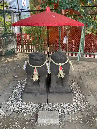 浅草神社の狛犬