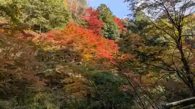 神護寺(京都府)