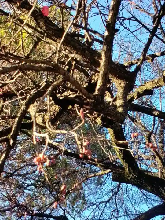 田端神社(東京都)