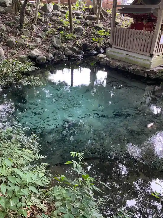 泉神社(茨城県)
