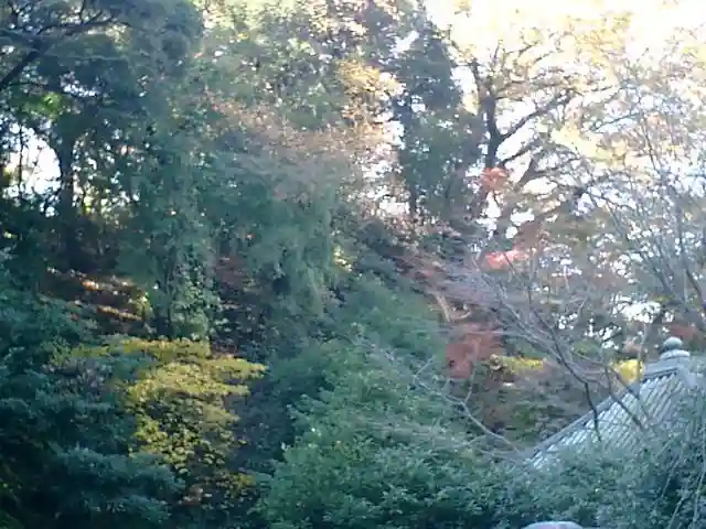 安國論寺(安国論寺)の自然