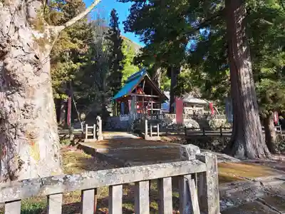 雲八幡宮(大分県)