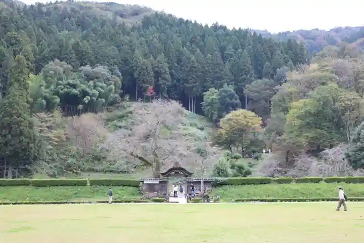 朝倉神社(福井県)