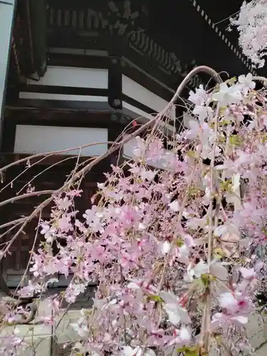 頂法寺（六角堂）(京都府)