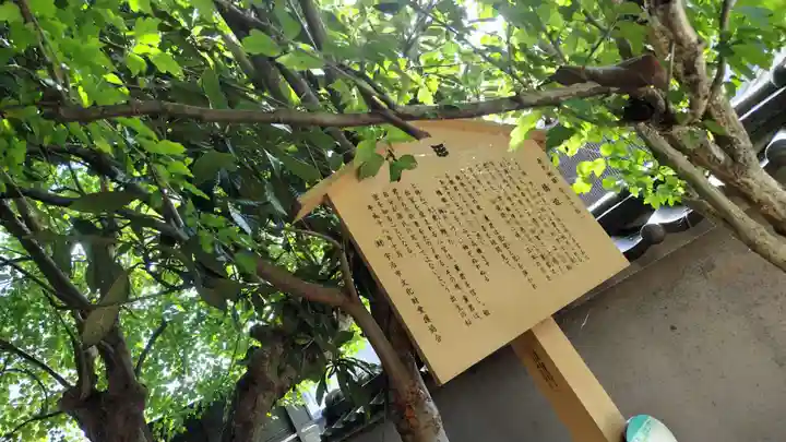 橋姫神社(京都府)