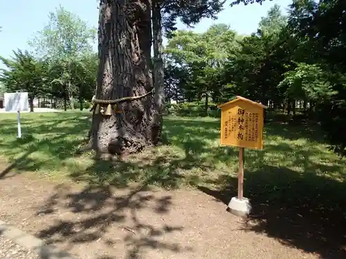 女満別神社のその他建物