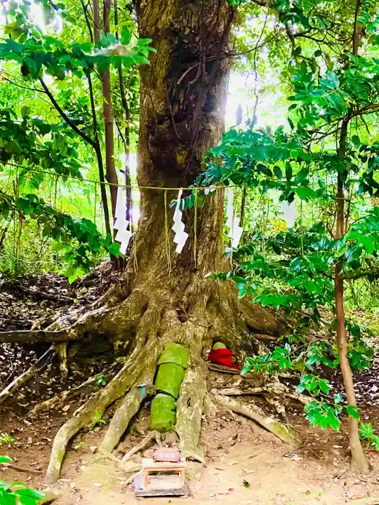 成田熊野神社(千葉県)