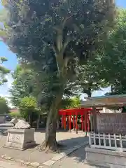 町田天満宮(東京都)