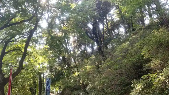 唐澤山神社(栃木県)