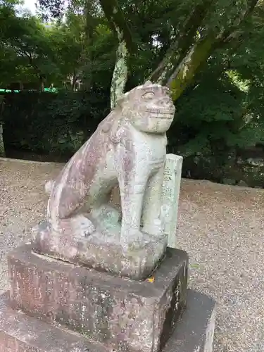 中山神社の狛犬