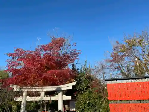 車折神社の{uncategorized: "未分類", other: "その他", undefined: "問題あり", building: "その他建物", grave: "お墓", sacred_gate: "鳥居", guardian: "狛犬", statue: "像", buddha: "仏像", history: "歴史", nature: "自然", garden: "庭園", animal: "動物", pagoda: "塔", temizu: "手水舎", mountain_gate: "山門・神門", sanctuary: "本殿・本堂", subordinate: "末社・摂社", art: "芸術", scenery: "景色", jizo: "地蔵", ema: "絵馬", goshuin: "御朱印", omikuji: "おみくじ", items: "授与品その他", amulet: "お守り", goshuincho: "御朱印帳", eats: "食事", festival: "お祭り", votive_dance: "神楽", shichigosan: "七五三参", wedding: "結婚式", experience: "体験その他", initially: "初詣", around: "周辺", anti_infection: "感染症対策"}