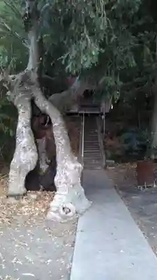 鹿島神社のその他建物
