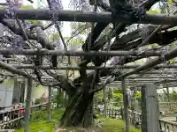 行興寺の{uncategorized: "未分類", other: "その他", undefined: "問題あり", building: "その他建物", grave: "お墓", sacred_gate: "鳥居", guardian: "狛犬", statue: "像", buddha: "仏像", history: "歴史", nature: "自然", garden: "庭園", animal: "動物", pagoda: "塔", temizu: "手水舎", mountain_gate: "山門・神門", sanctuary: "本殿・本堂", subordinate: "末社・摂社", art: "芸術", scenery: "景色", jizo: "地蔵", ema: "絵馬", goshuin: "御朱印", omikuji: "おみくじ", items: "授与品その他", amulet: "お守り", goshuincho: "御朱印帳", eats: "食事", festival: "お祭り", votive_dance: "神楽", shichigosan: "七五三参", wedding: "結婚式", experience: "体験その他", initially: "初詣", around: "周辺", anti_infection: "感染症対策"}