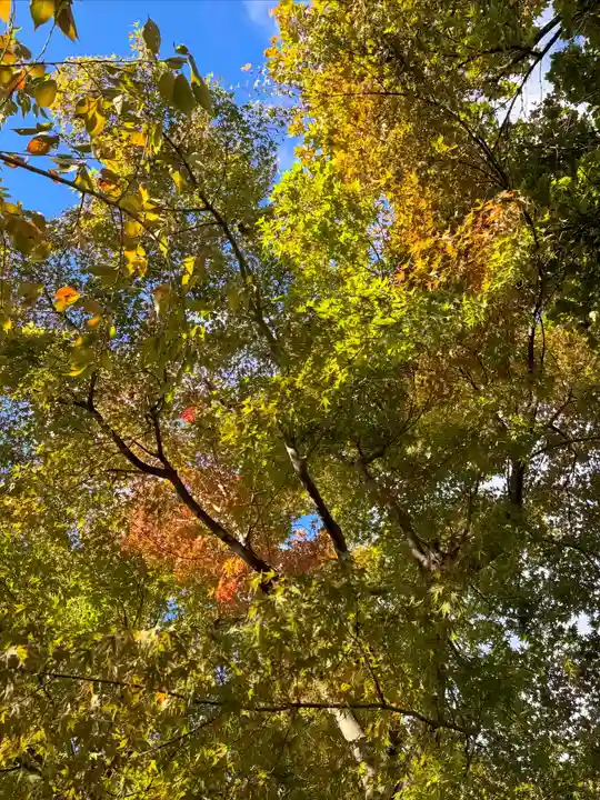 伊達神社(北海道)