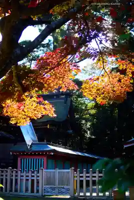 鹿島神宮(茨城県)